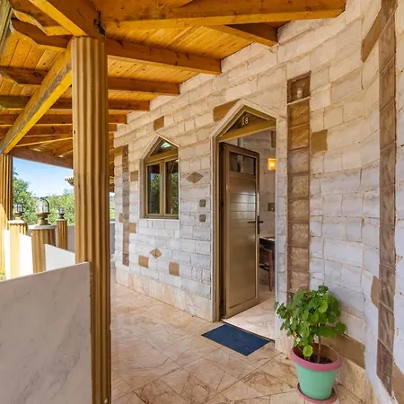 Paco's Luxury 18 * Oziás